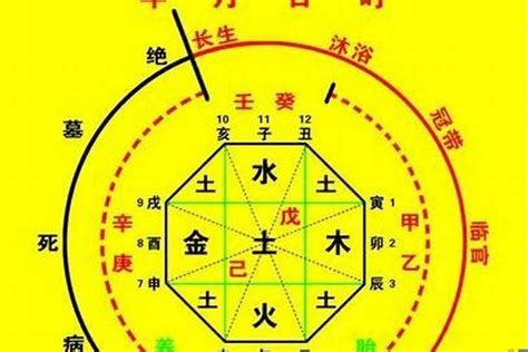 五行 忌神|八字喜用神在线查询器,在线查五行喜神忌神